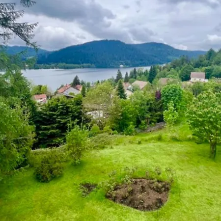 Apartment Beautiful Overlooking ! Gerardmer